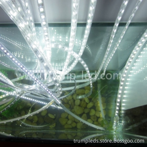 5M Glue Sealed Flexible LED Strip Light 3528 SMD